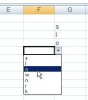 excel2007lw16